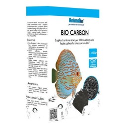 bio carbon