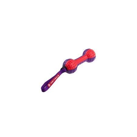 dumbbell red purple gioco per cani gigwi